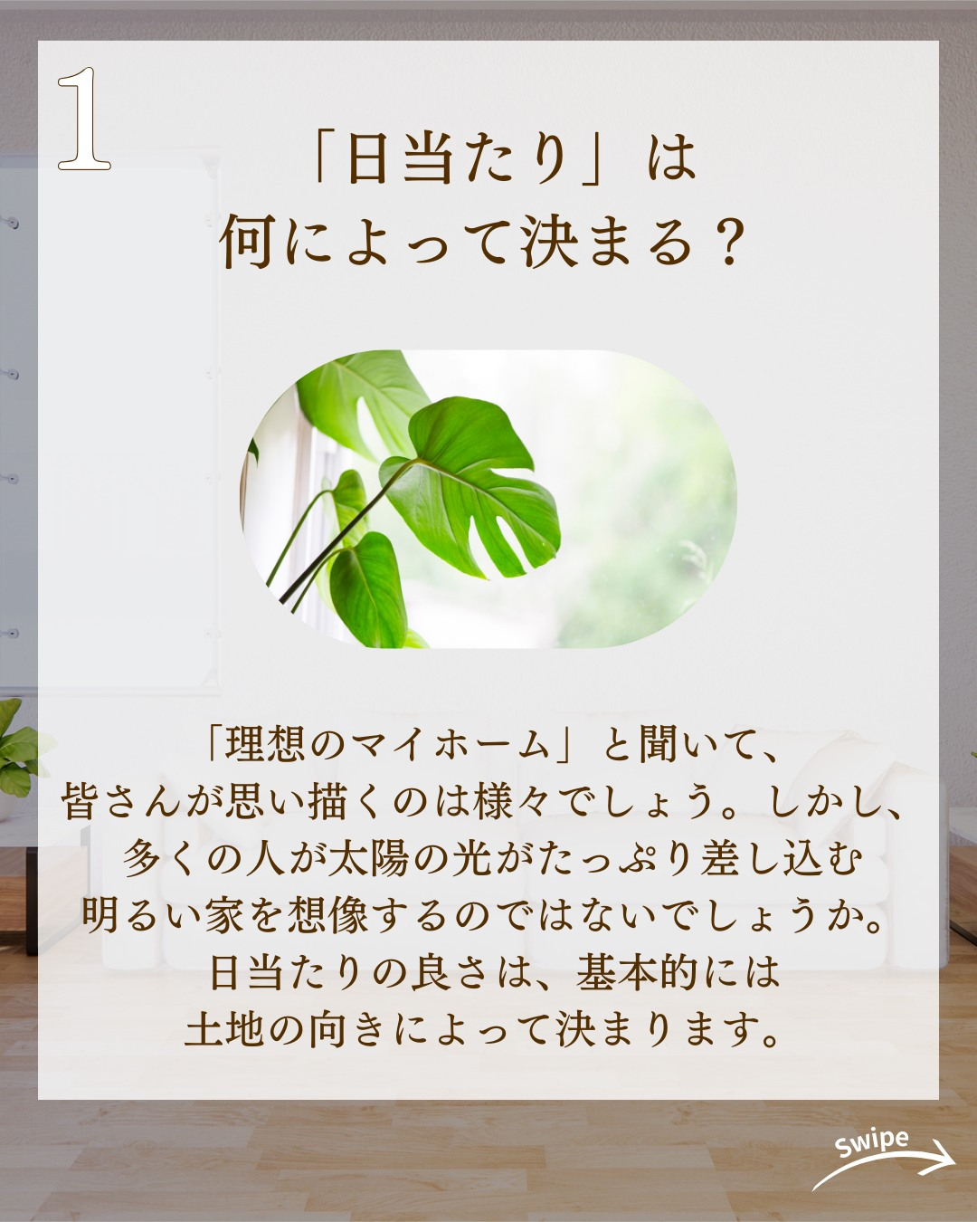 日当たりが最高に良い家の作り方についてご紹介！🌱