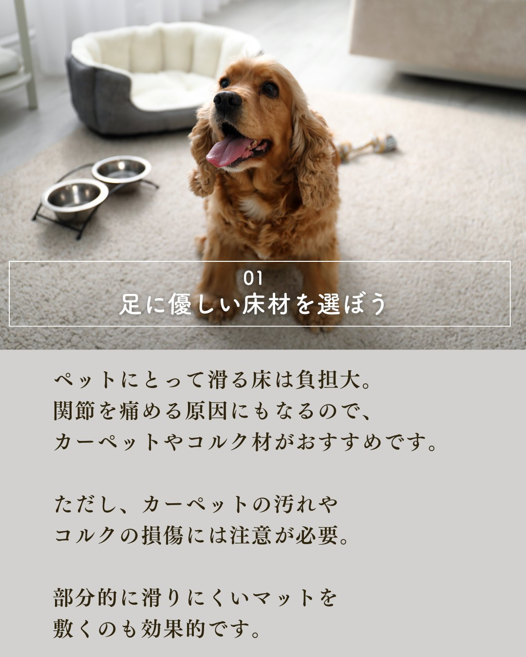 ペットと暮らす家づくりで絶対外せない7つの要素！